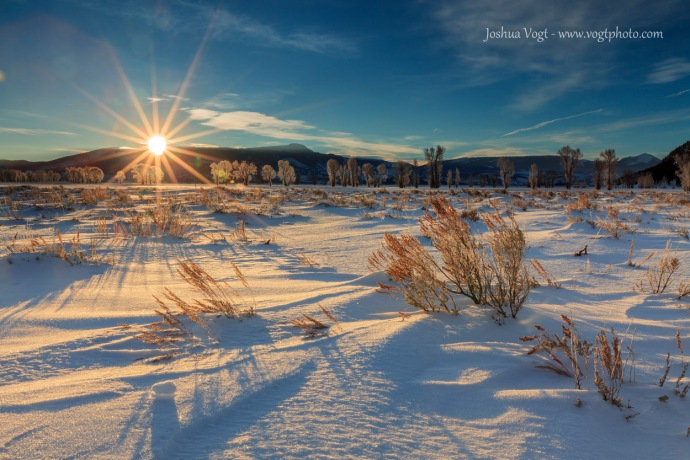 20140117-Jackson Hole Winter Grass - w